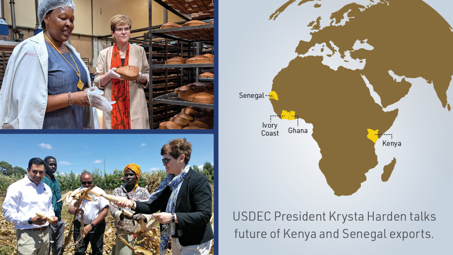 U.S. Dairy Eyes Africa Growth: Why Kenya, Senegal Are Next Export Frontiers