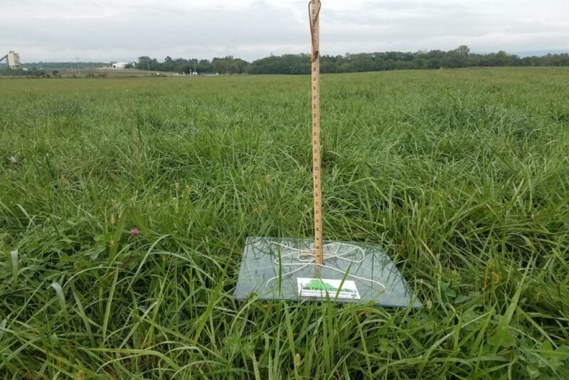 Falling Plate Meter