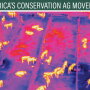 Drones with thermal imaging cameras have been buzzing over a research feedlot near Amarillo, as researchers develop test methods to identify feverish animals before they show symptoms of illness. 