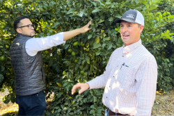 From left: Wonderful Citrus President Zak Laffite and Todd Consolascio, director, northern farming