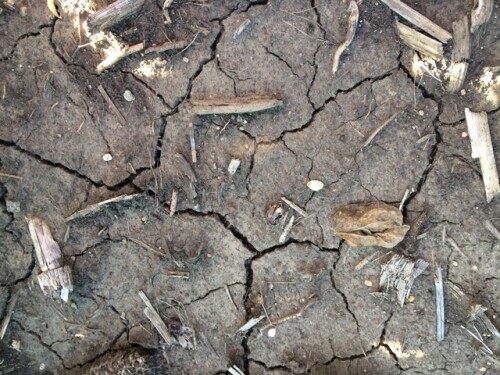 DrySoilSoutDakota1.jpg