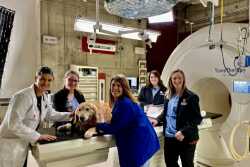 Scout poses with members of UW Veterinary Care’s radiation oncology and anesthesia services during the commercial shoot. From left: Clinical Assistant Professor Michelle Turek and certified veterinary technicians Abigail Jones, Jennifer Borgen, Ashley Onsager and Molly Sehloff.  