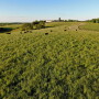 Linden Farm, VA