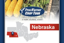 PF Crop Tour_AgWeb_Nebraska.jpg