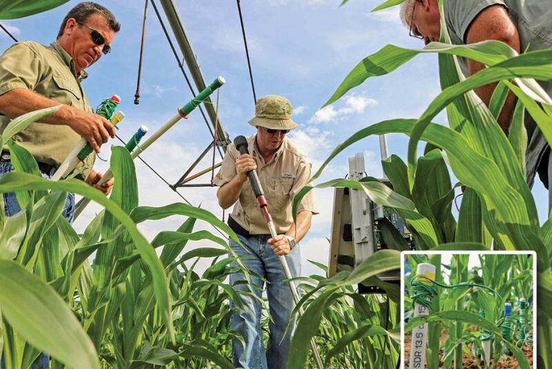 Chris Henry, center, readies the ground while Tommy Young and Greg Simpson, right, wait to place and connect moisture sensors like those shown in place, inset.