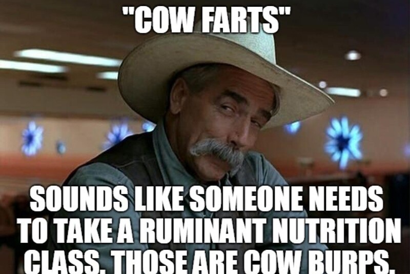 Social media has been full of MEME and cartoons that are poking fun at the “farting cows” mention in the Green New Deal’s FAQ sheet. 