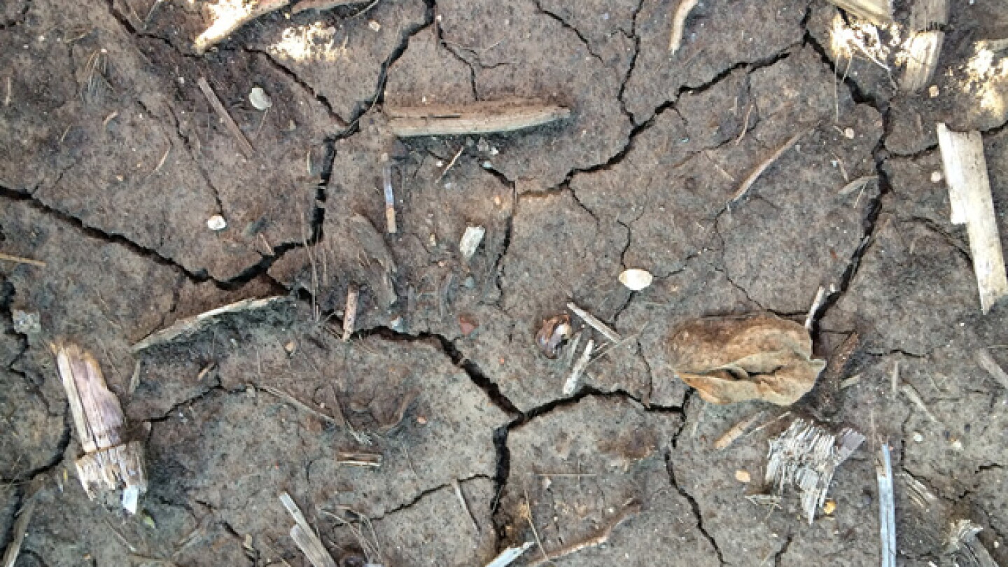 Recent rains did little to budge drought in Upper Midwest and Northern ...