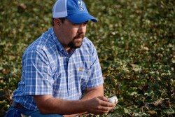 Blake Fennell West Texas Cotton 