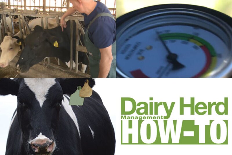 Check out exclusive how-to videos from Dairy Herd Management by clicking on the video player below. 


