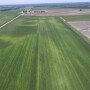 Most of the middle of this field was light in color, signaling nitrogen deficiency.  This could not be seen standing at the edge of the field.  The lighter the plants, the more additional nitrogen they need to reach their full potential.  
