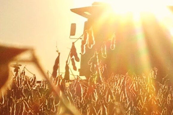 Rural Mainstreet Index's farmland index reaches new high