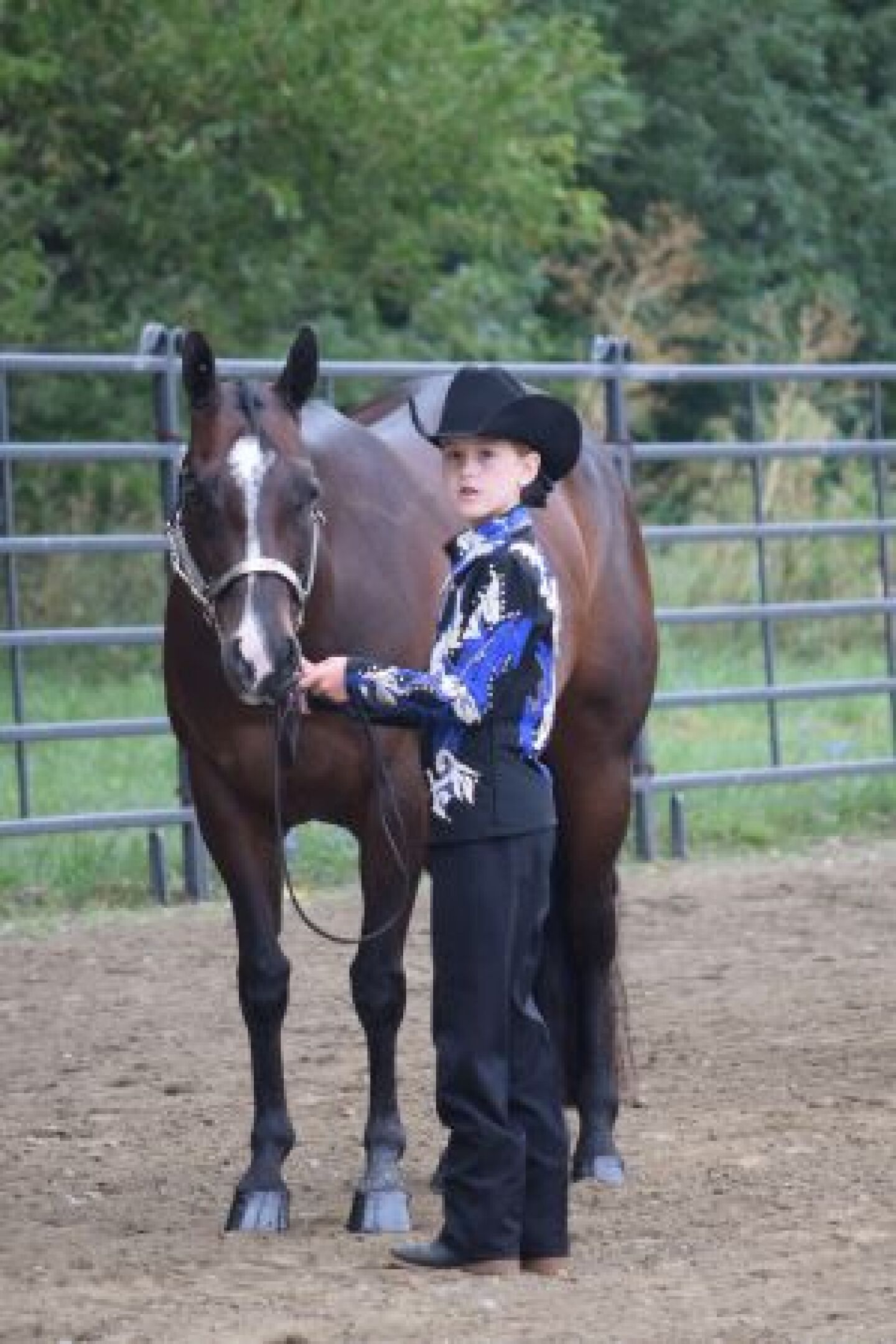 Wishes%20Halter.jpg