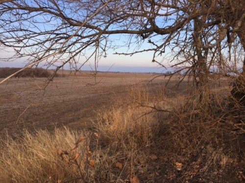 Missouri farm field