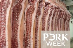 Pig Pork Week 11_0.jpg