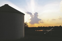 Grain Bin By Lori Hays