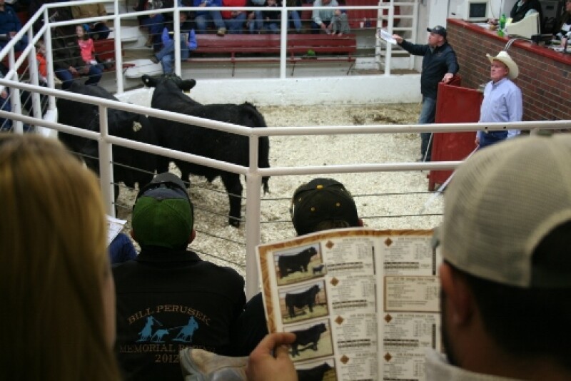 Cattle producers using ECTR to report ownership changes and out-of-state movement could save up to 39 percent compared to using traditional livestock inspections.