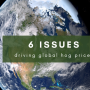 Global hog prices