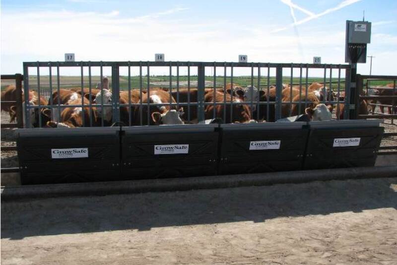 growsafe_bunks