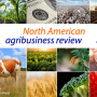 Rabobank North American Agribusiness Review April 2024