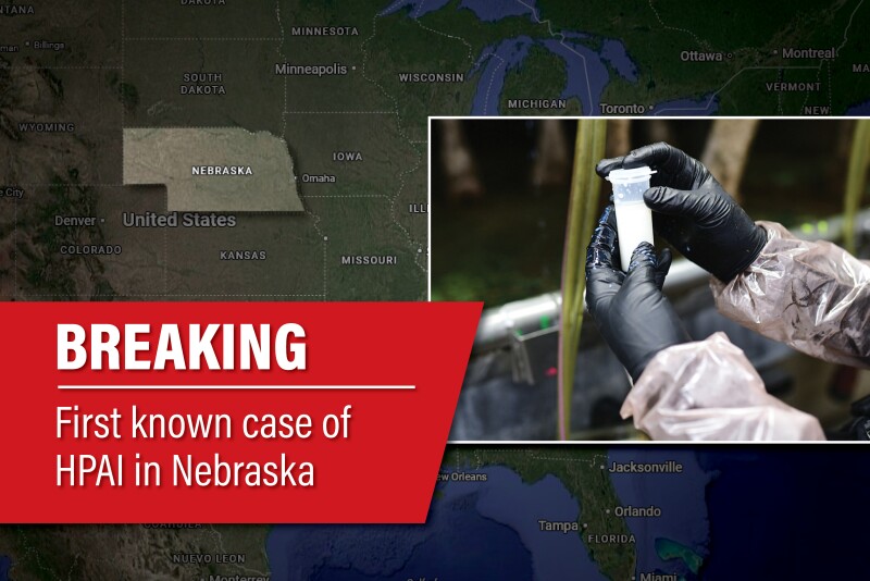 Breaking news - HPAI H5N1 Avian influenza in Nebraska dairy herd.jpg