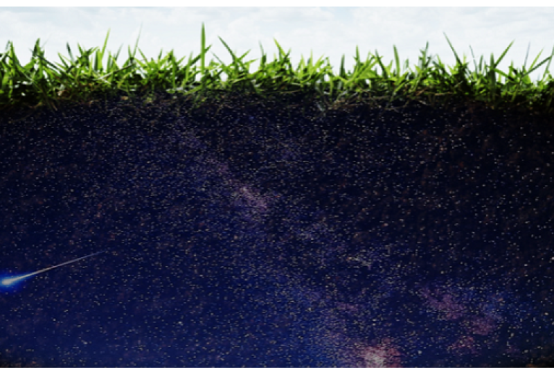 Soil is beginning to give up its many secrets on the role played by microbes in promoting sustainable food production. 
