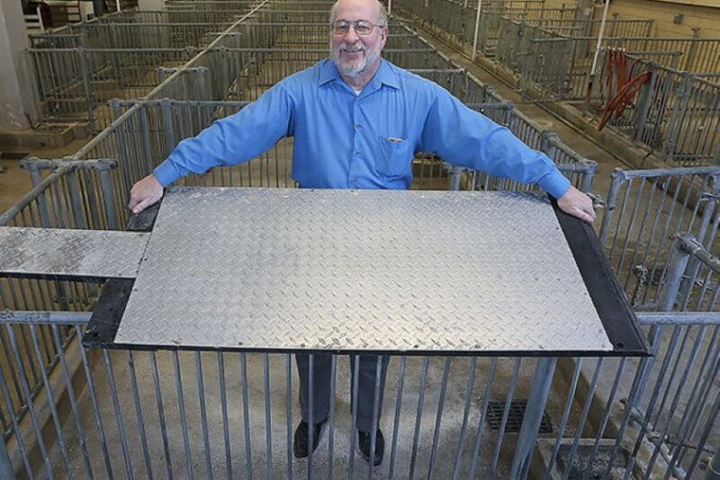 Robert Stwalley cooling pad for sows