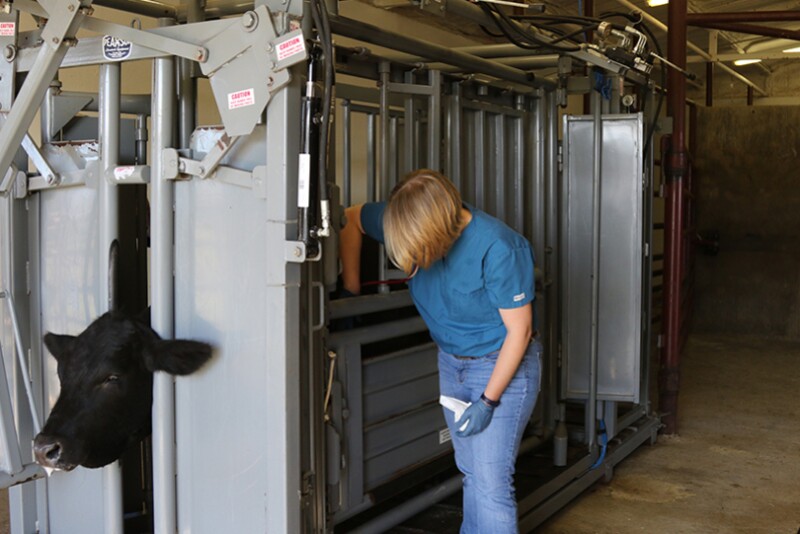 Texas Farm Bureau.jpg