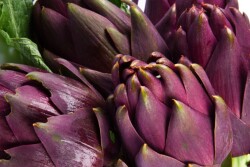 A greater percentage of higher-income consumers reported fresh artichoke purchases; 14% of consumers making more than $100,000 per year said they purchased fresh artichokes in the previous year.