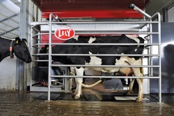 Lely recently announced it will immediately cease commercial activities throughout Russia and Belarus.