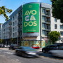 California Avocado Commission