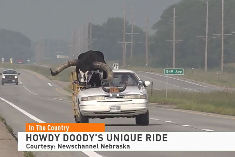 Howdy Doody - Watusi Bull