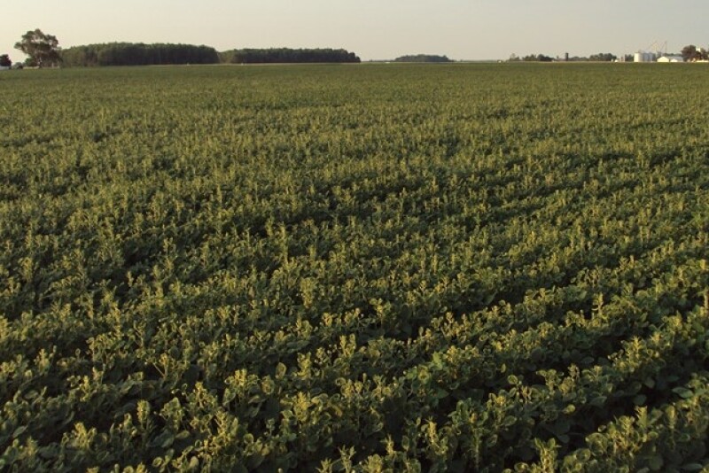 The 2016 off-target dicamba epicenter was in the Mid-South, but growers recorded incidents in a wide belt of states, including soybean damage in Indiana.