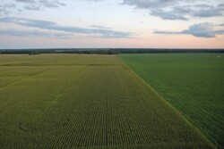 land rent reduction