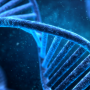 DNA can unlock the secrets to improving fertility.