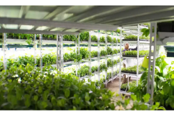 Shenandoah Growers' newest facility (not pictured) will be operational this fall.
