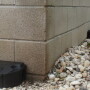 Bait Stations
