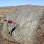 Hay_Test