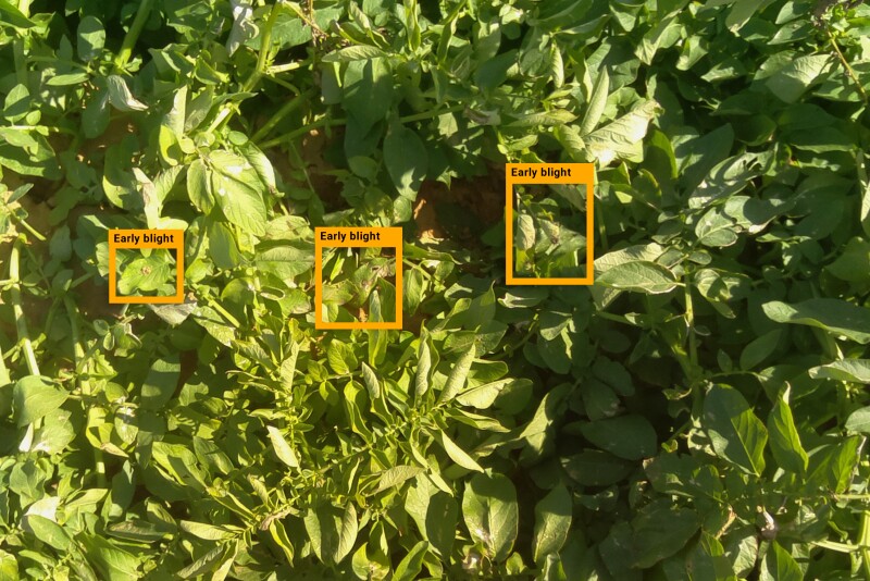 Based in Tel Aviv, Israel, Prospera has developed data analytics and computer vision technology that can be applied to every pass the irrigation pivot makes