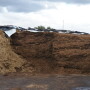 Silage_Pile