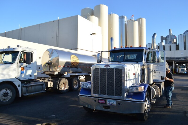 Dairy farmers are under siege thanks to low prices and changing tastes. 