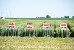 The Wilton, North Dakota site consolidates and elevates the opportunities for diversified field crop research which had been previously scattered and in smaller scale. 