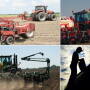 Planter collage