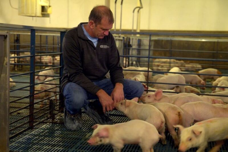 Scott Hays MO Pork Producer and NPPC President
