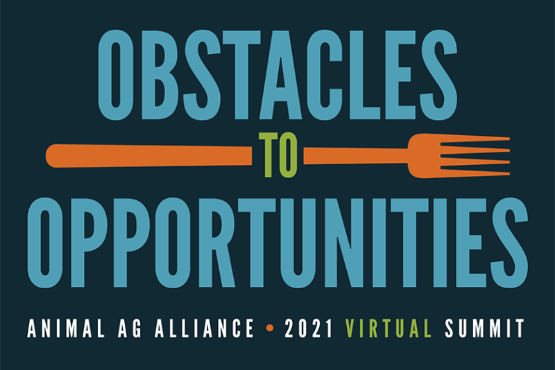 Obstacles to Opportunities Logo