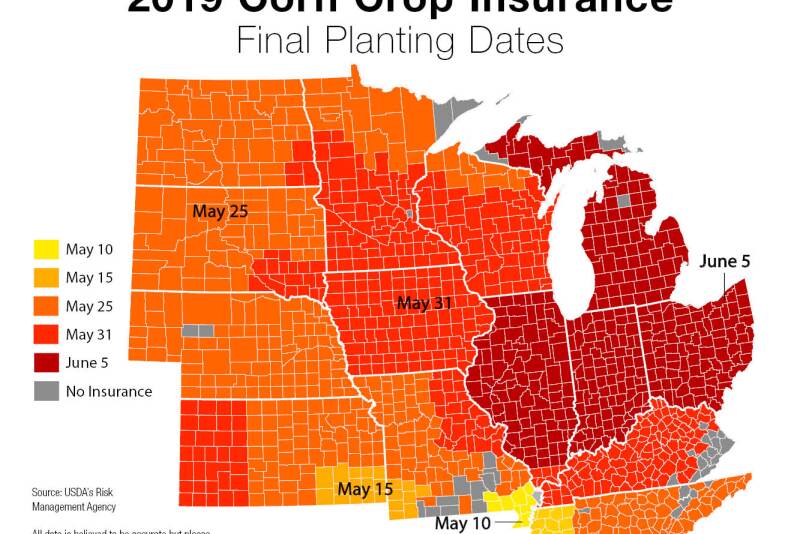 The USDA announced today producers participating in federal crop insurance who have a payable prevented planting indemnity for 2019 will automatically receive an extra payment
