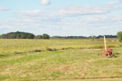 Farm Journal Pulse shows 48% of corn growers plan to file prevented plant on some acres.
