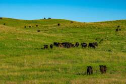Minnechaduza Creek Ranch