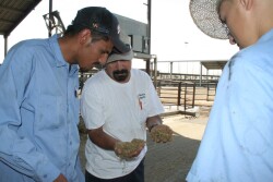 What’s one of the most limiting factors on any ag operation? Labor. With this, inevitable changes rise within the ag workforce.