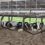 freestall