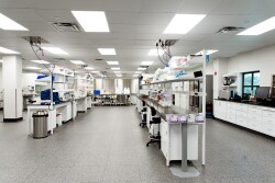 Boehringer-New-Building48.jpg